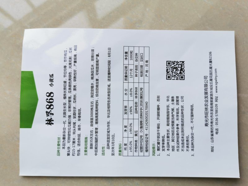 林孚868无刺水果小黄瓜种子连续拉瓜产量高