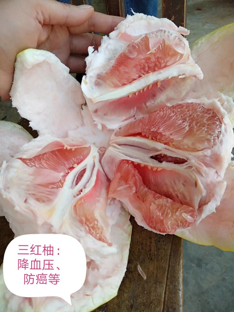 柚子一红柚