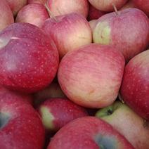 丹霞苹果大量上市，货源充足，口感甜脆，需要的速！
