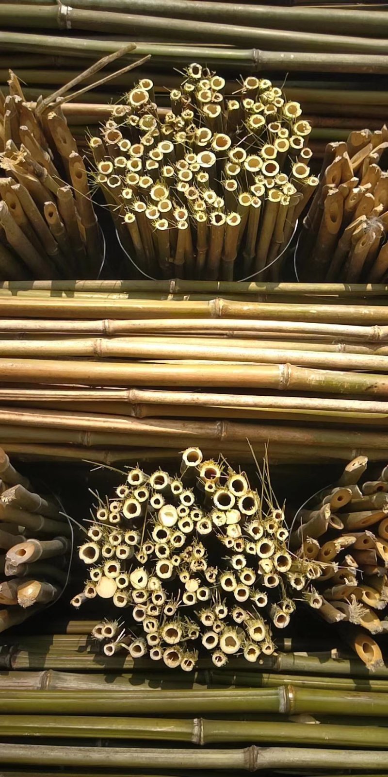 批发优质的竹竿，欢迎各位老板来咨询，价格实惠，质量好
