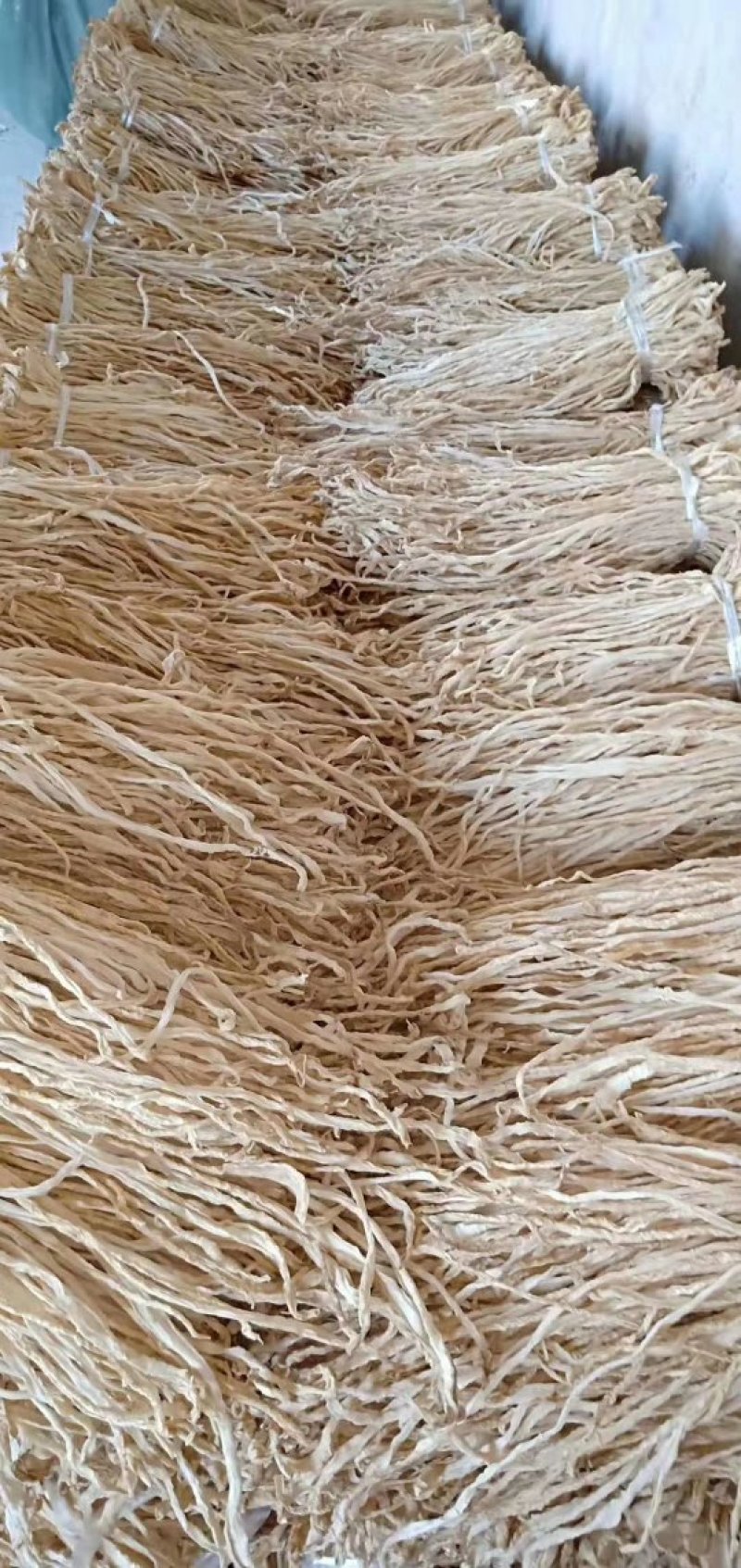 绥中精品萝卜条，货源充足价格美丽，马上大量上市，需要的来