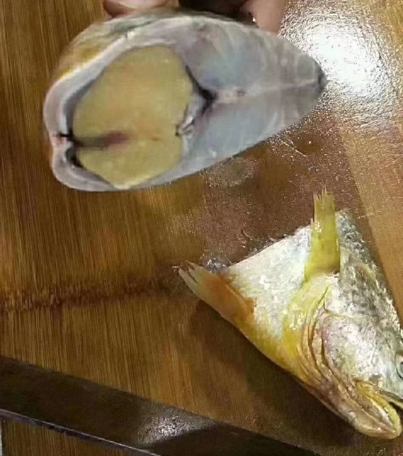 黄花鱼