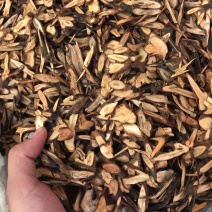 中药材桂枝新货味道规格齐全瓜子片圆片