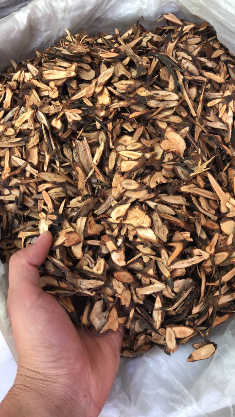 中药材桂枝新货味道规格齐全瓜子片圆片