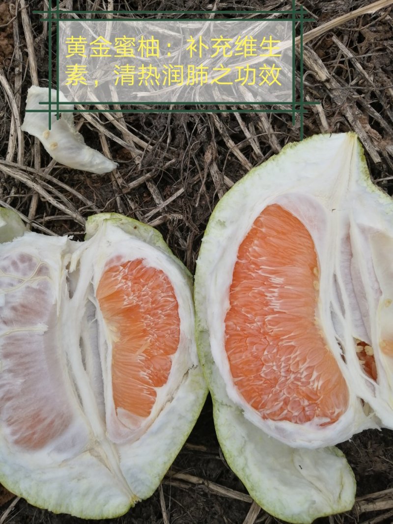 柚子