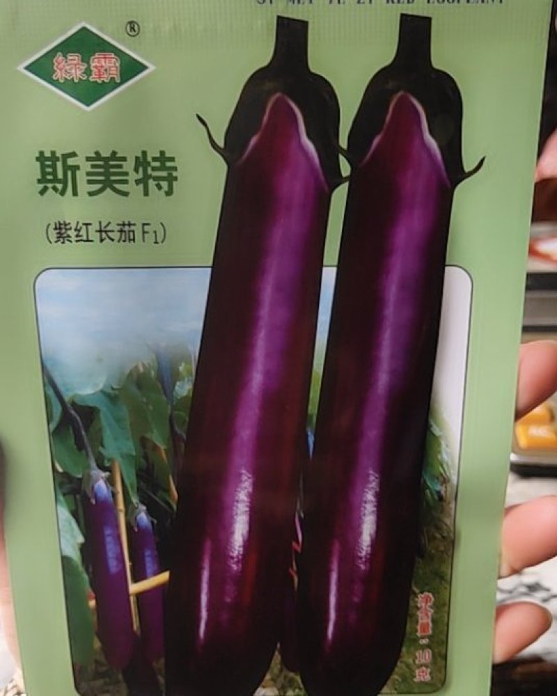 斯美特，紫红长茄颜色亮丽，耐寒耐湿，