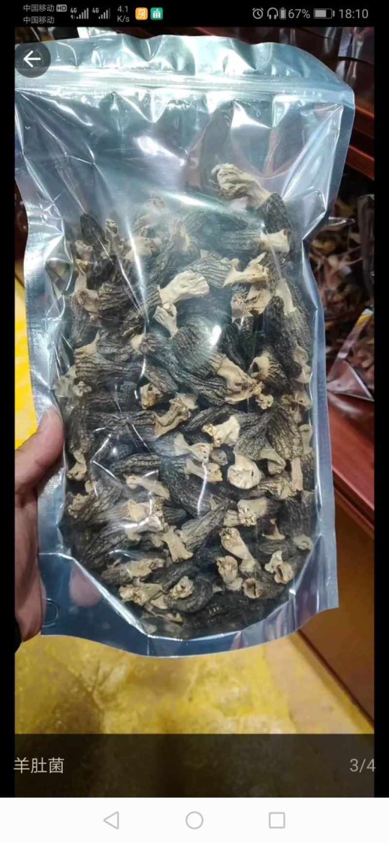羊肚菌，野生。