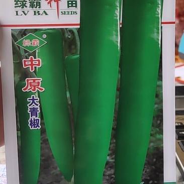 绿霸种苗,中原大青椒