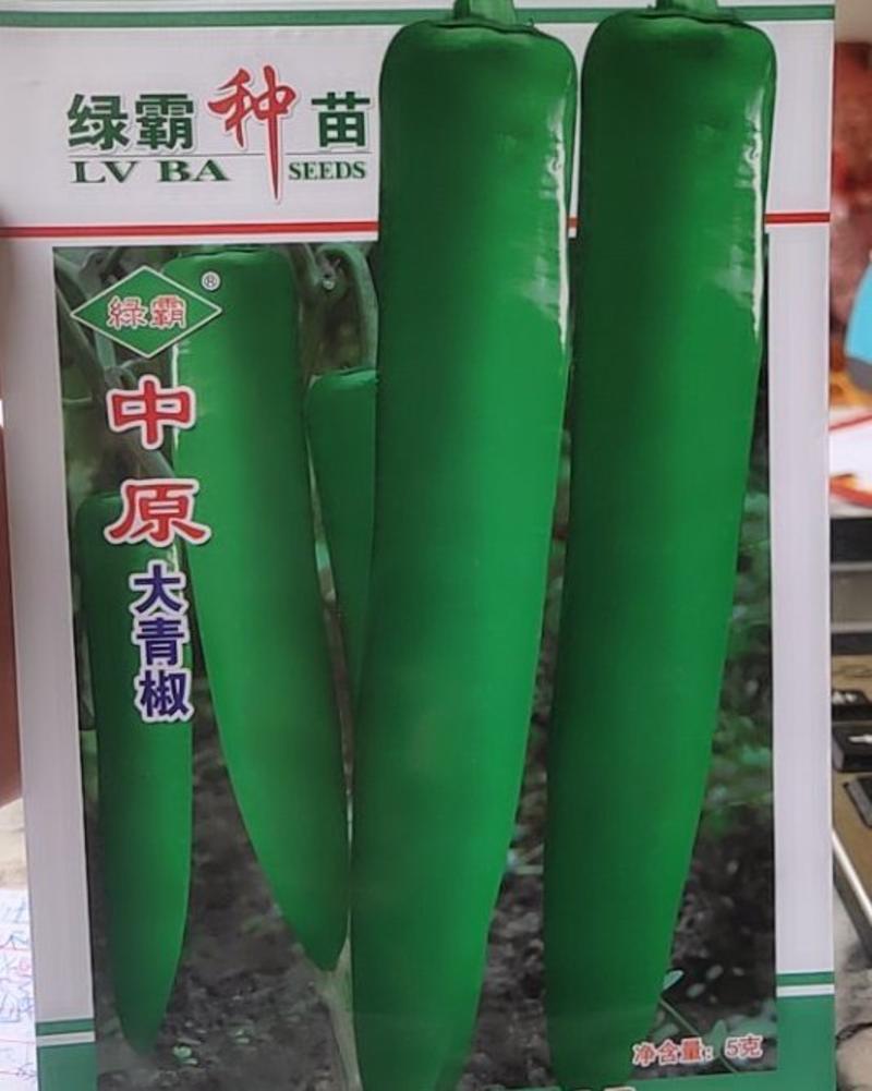 绿霸种苗,中原大青椒