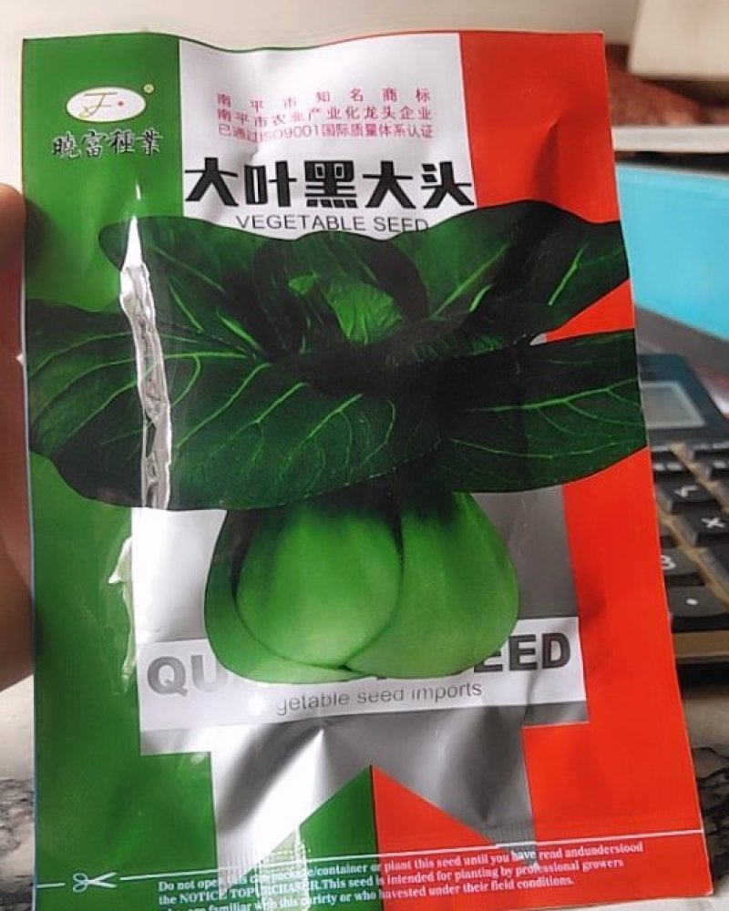 大叶黑大头苏州青，墨绿色。叶片平滑，