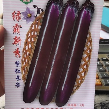 绿霸新秀紫红长茄，中早熟，果条顺直美观，