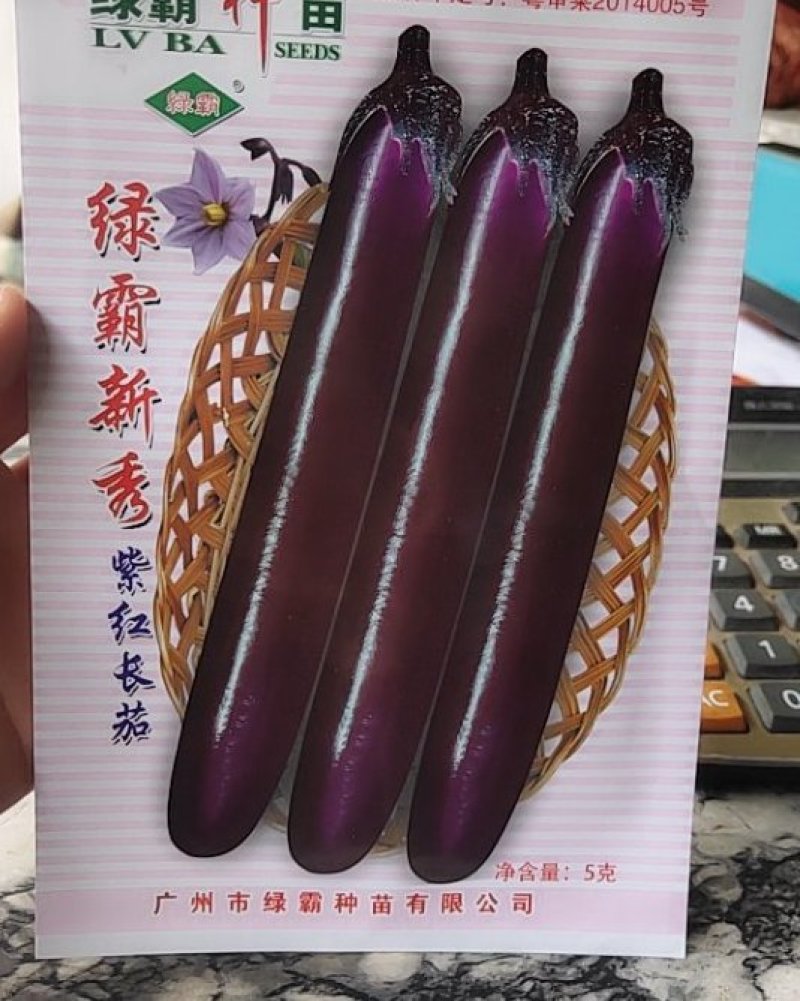 绿霸新秀紫红长茄，中早熟，果条顺直美观，
