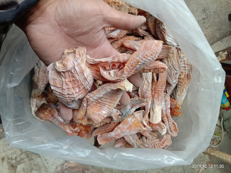 全干无添加天麻笋尖