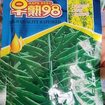早熟98油菜种子。抗病，亩产量高达600斤