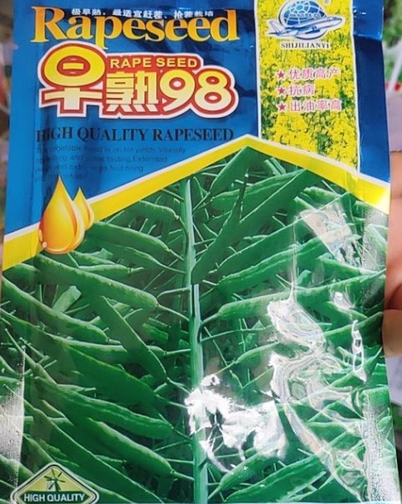 早熟98油菜种子。抗病，亩产量高达600斤