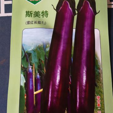 茄子种：果皮深紫红色，颜色亮丽耐寒耐湿耐热好，抗病性强。