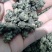 猫爪草1公斤起批不包邮野生家种供应各种中药材