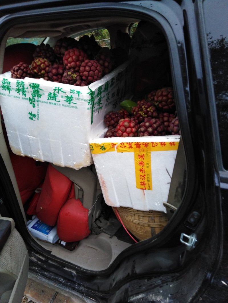 布福娜果黑老虎果包邮自然成熟果