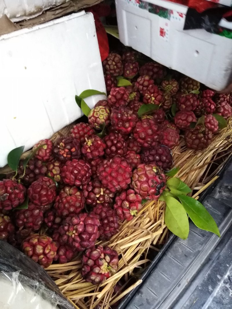 布福娜果黑老虎果包邮自然成熟果