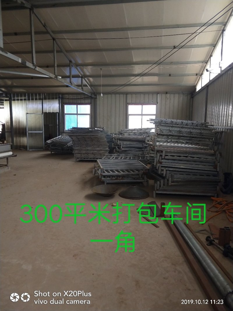 河北省邢台市柏乡县冷库出租，胡萝卜清洗设可清洗，可打冷！