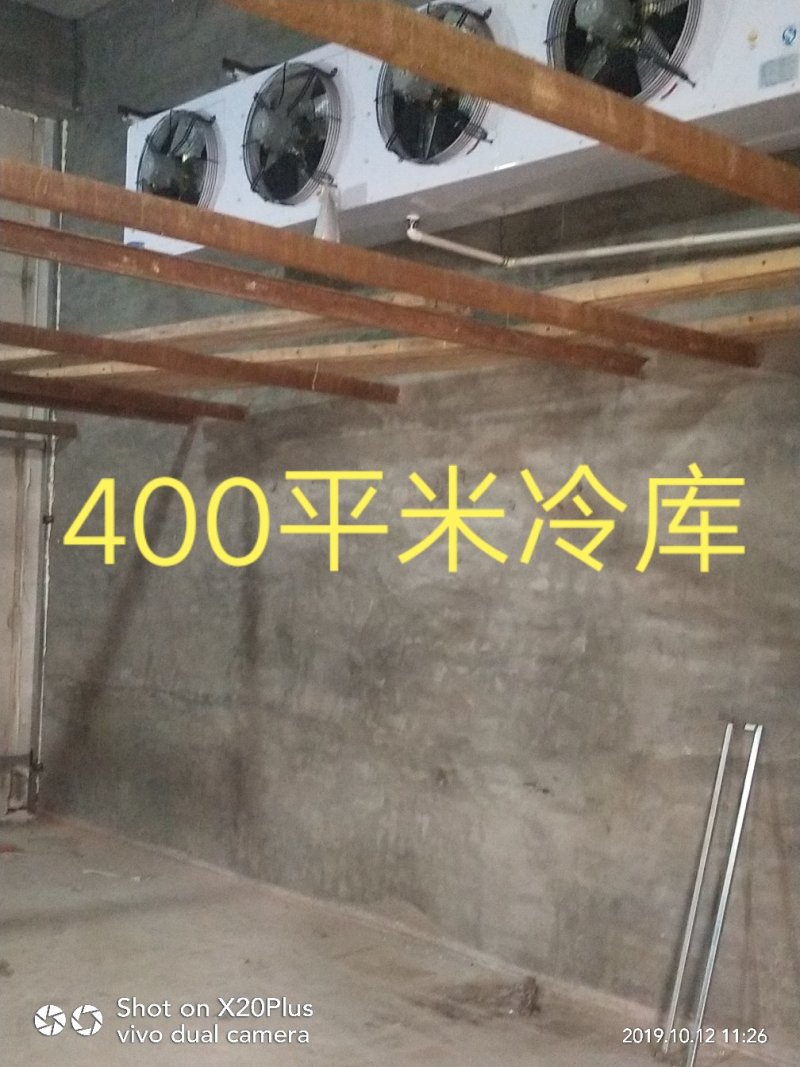 河北省邢台市柏乡县冷库出租，胡萝卜清洗设可清洗，可打冷！