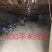 河北省邢台市柏乡县冷库出租，胡萝卜清洗设可清洗，可打冷！