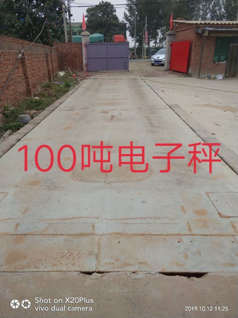 河北省邢台市柏乡县冷库出租，胡萝卜清洗设可清洗，可打冷！