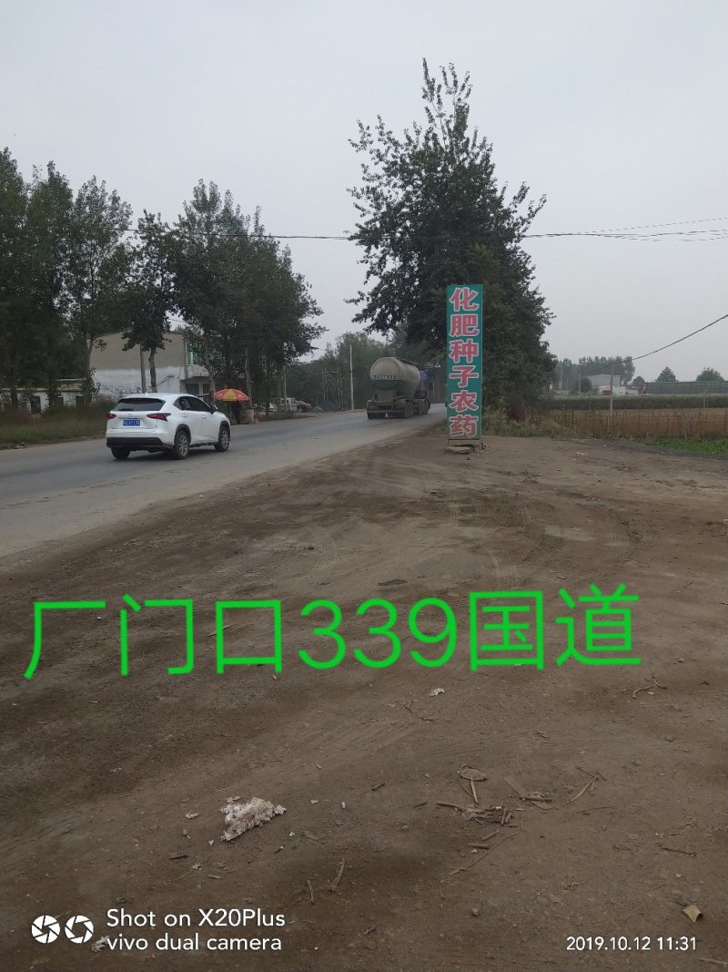 河北省邢台市柏乡县冷库出租，胡萝卜清洗设可清洗，可打冷！