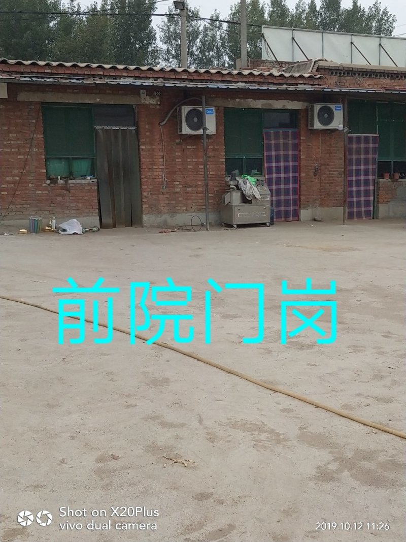 河北省邢台市柏乡县冷库出租，胡萝卜清洗设可清洗，可打冷！