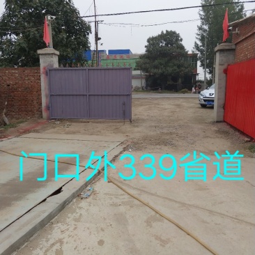 河北省邢台市柏乡县冷库出租，胡萝卜清洗设可清洗，可打冷！