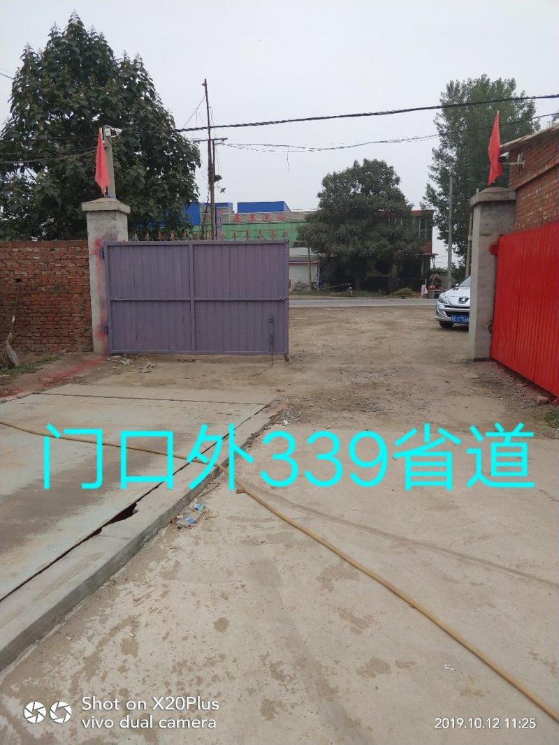 河北省邢台市柏乡县冷库出租，胡萝卜清洗设可清洗，可打冷！