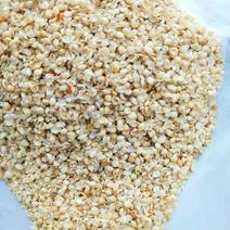 供应小米壳小米糠小米油糠养殖饲料添加枕芯制作