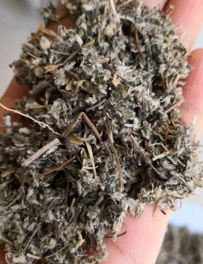 翻白草无硫各种中药材批发零售各种规格中药材欢迎选购