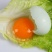 农家新鲜鸭蛋