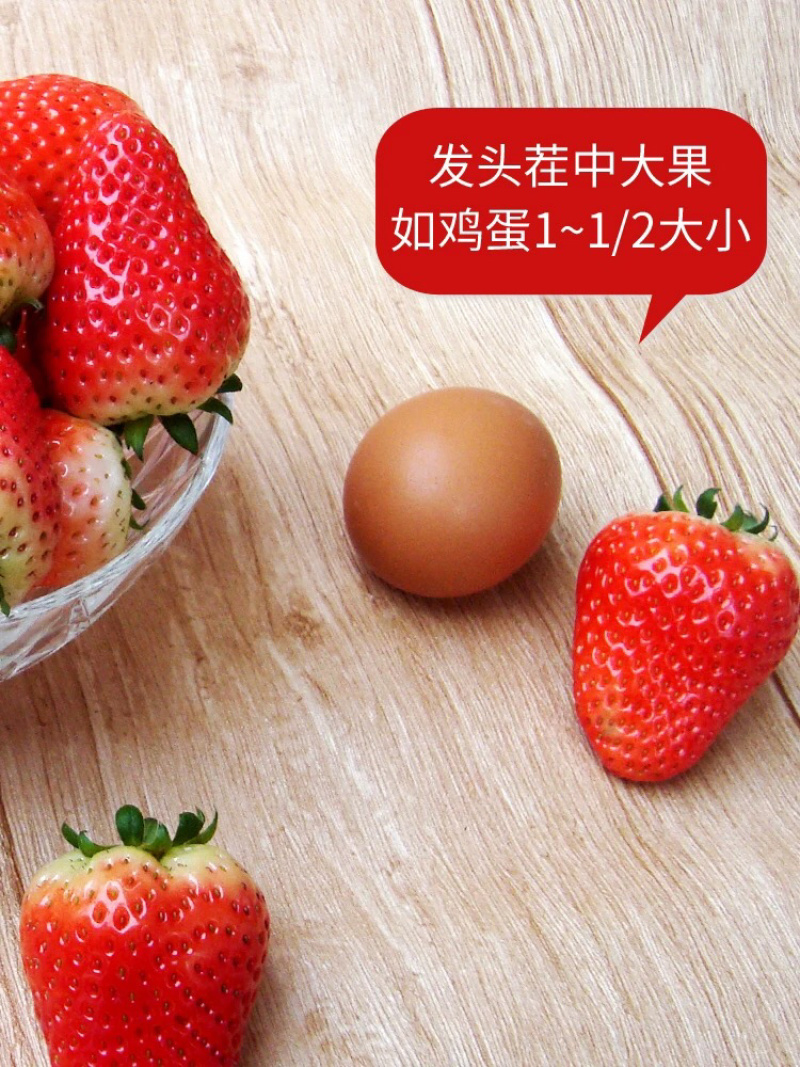 北纬37度，平度草莓，味甜，口感佳。