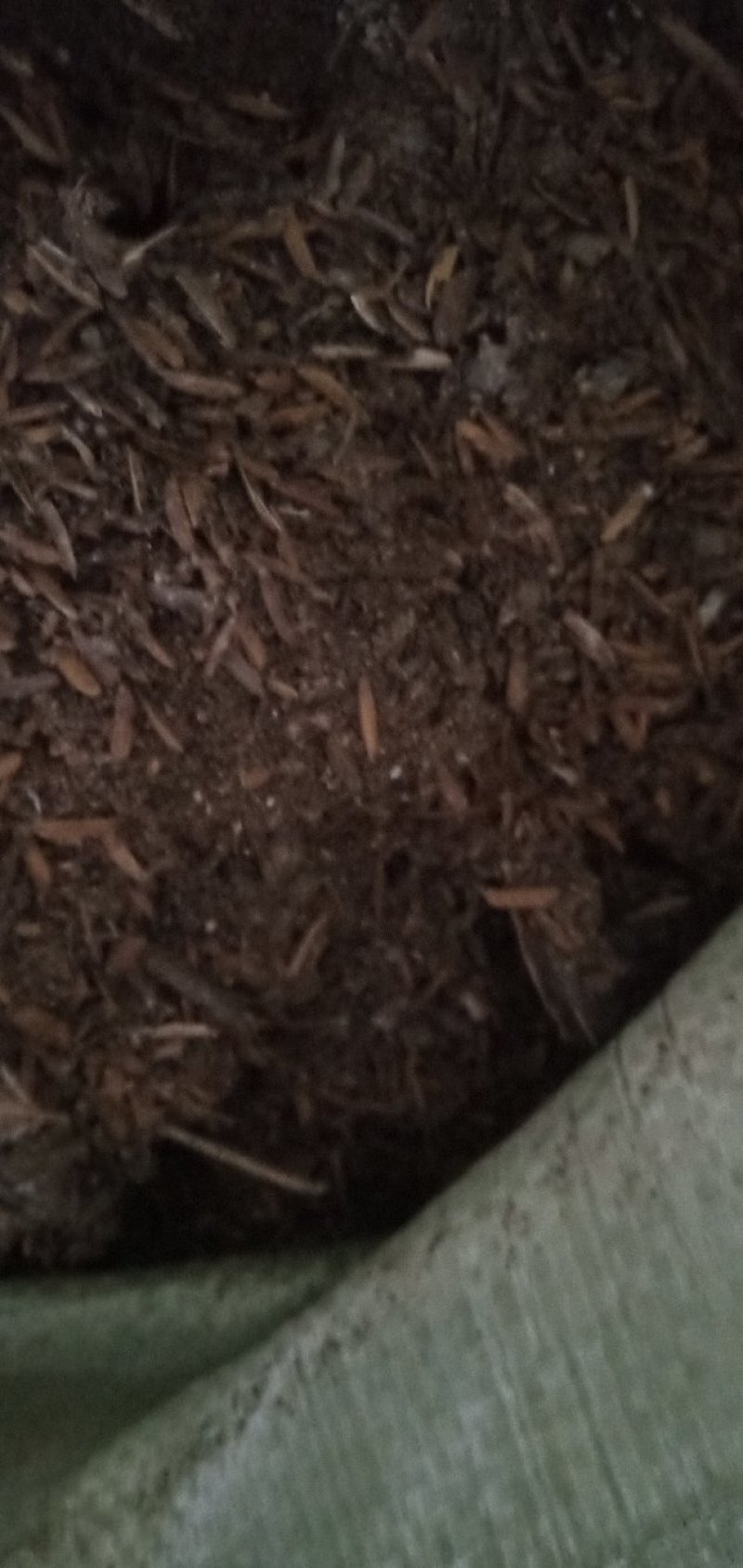 基地直销，稻壳鸡粪，谷壳麻鸡粪草鸡粪，有机肥，