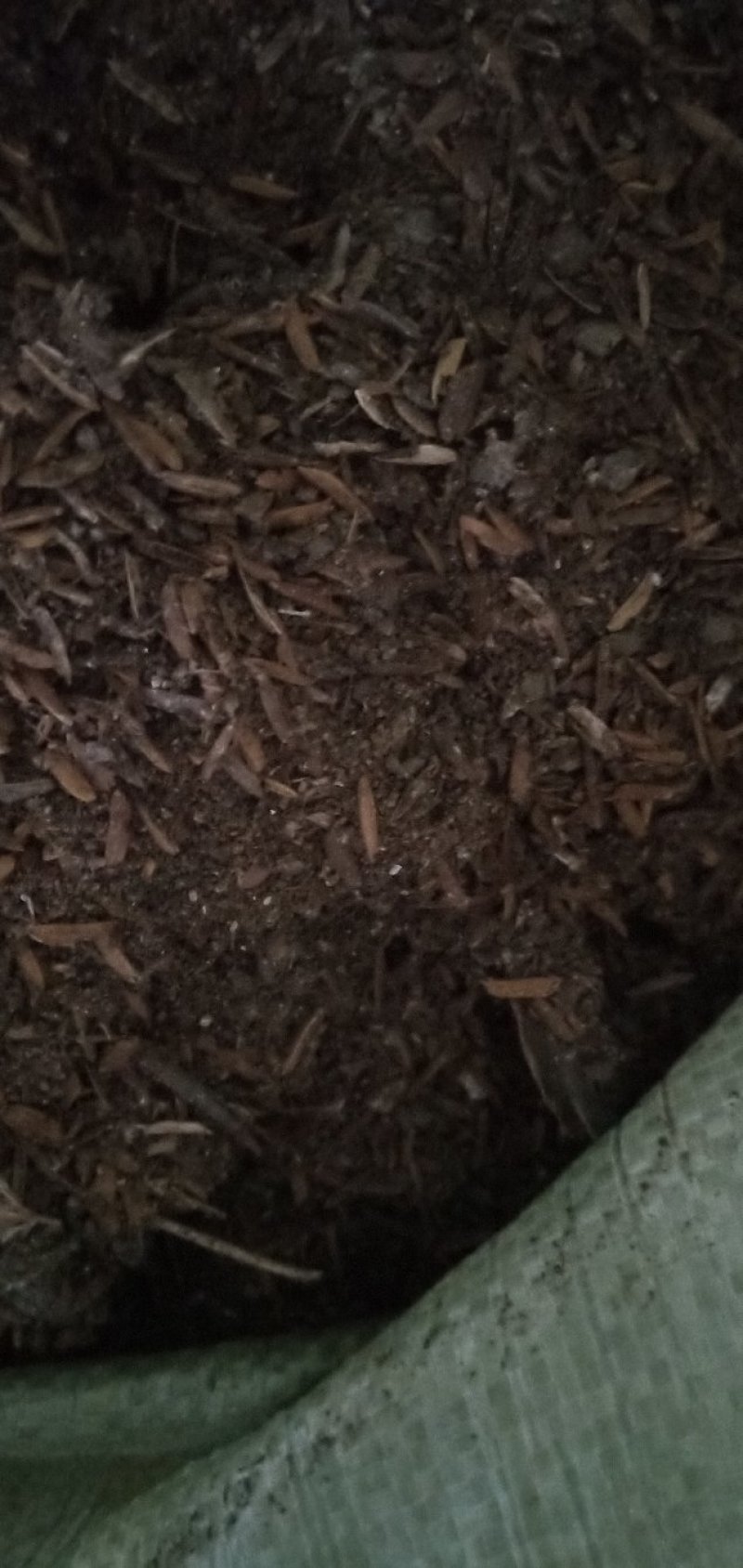 基地直销，稻壳鸡粪，谷壳麻鸡粪草鸡粪，有机肥，