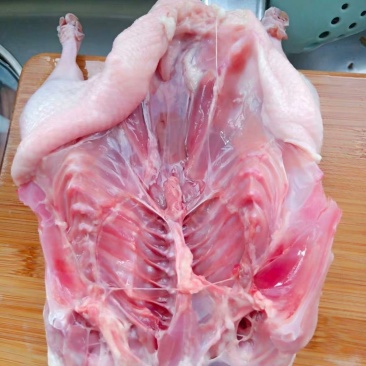白条鸭