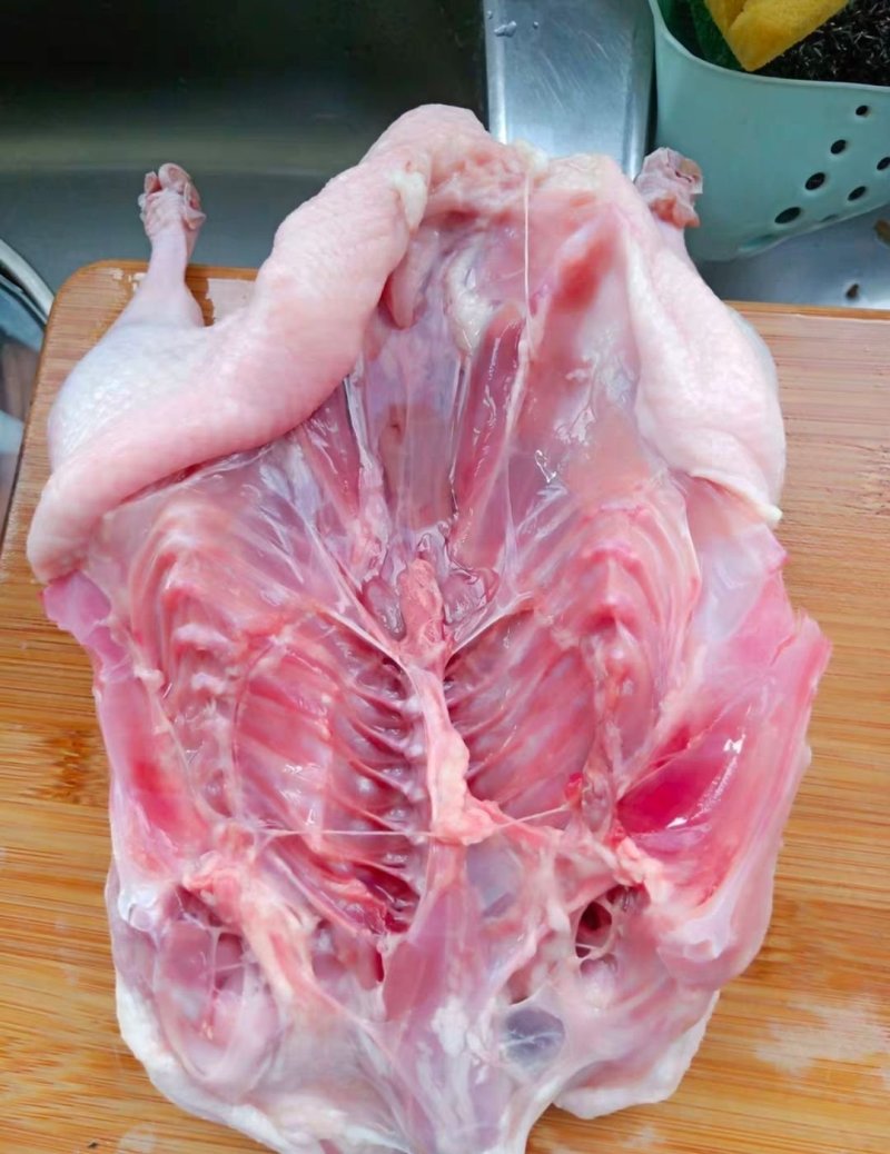 白条鸭