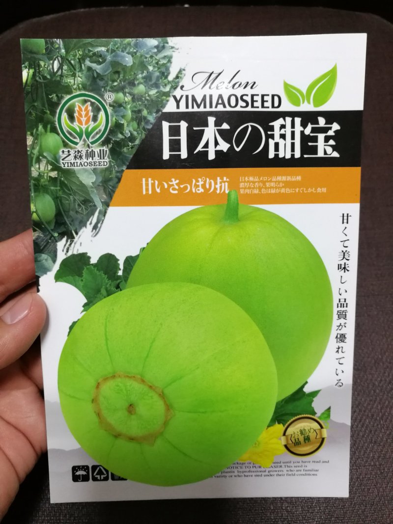 【精选】日本甜宝甜瓜品质好果实大成熟后浅黄色香甜爽口