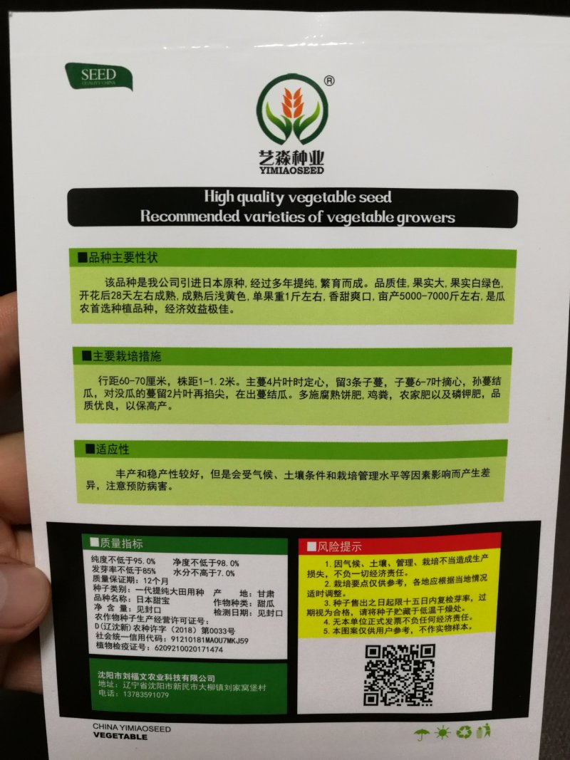 【精选】日本甜宝甜瓜品质好果实大成熟后浅黄色香甜爽口