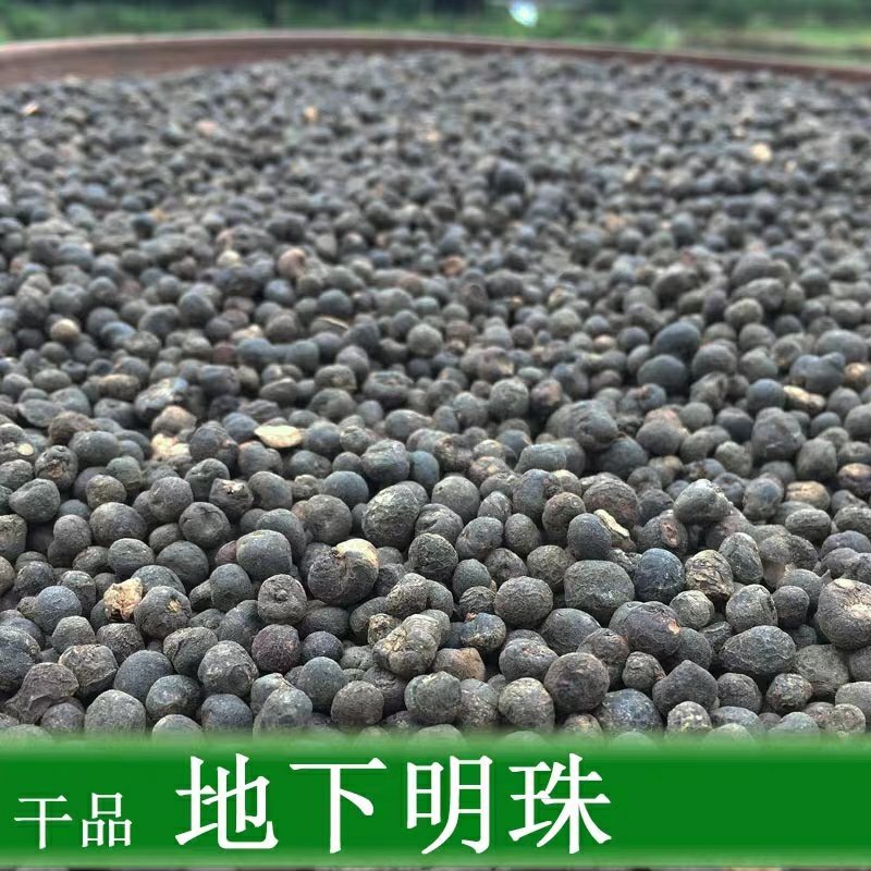 地下明珠陈伤子一粒金丹无硫净货保正品批发零售中药材包邮