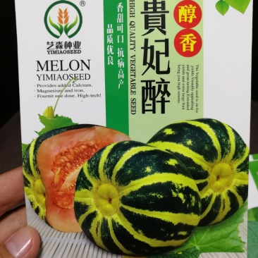 【精选】花纹贵妃醉甜瓜种子果肉橙红色肉质脆口感好耐储存