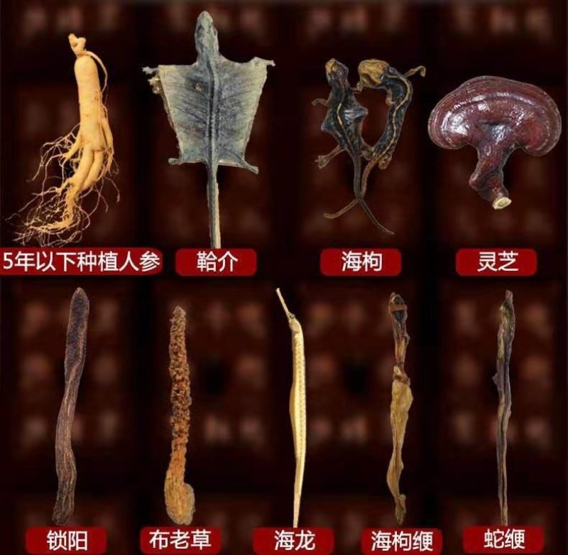 [爆款男士滋补]精品泡酒料补肾养精加强版83味中药材
