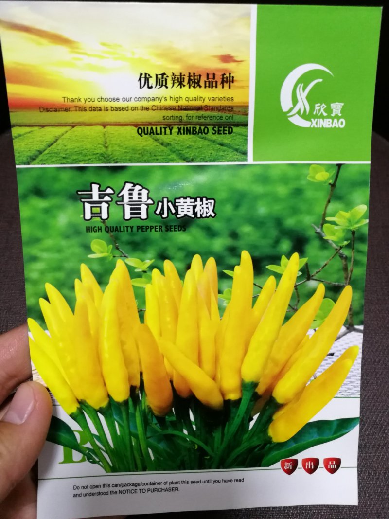 【精选】小黄辣椒抗性好抗重茬无限生长产量高品质好