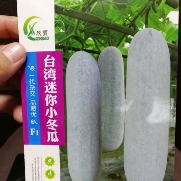 【精选】台湾迷你小冬瓜种子瓜皮粉色肉质细腻瓜腔小肉质细腻