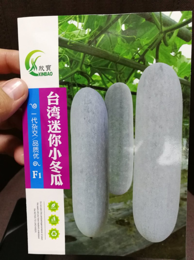 【精选】台湾迷你小冬瓜种子瓜皮粉色肉质细腻瓜腔小肉质细腻