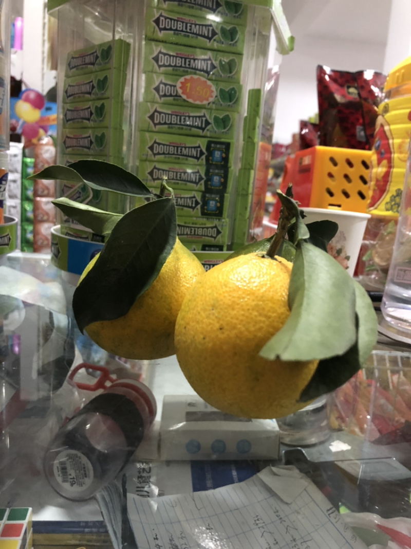 爱媛38号果冻橙