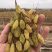 2021年新货！新疆无核白葡萄干传统葡萄干