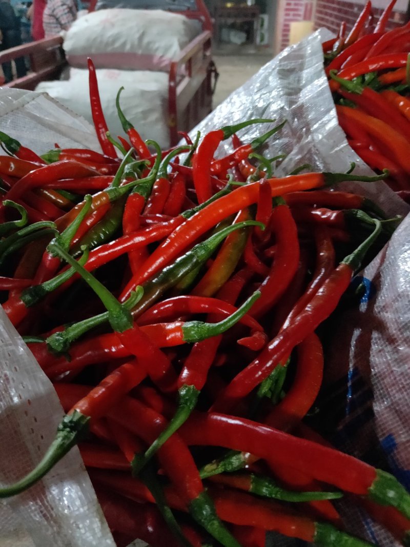 鲜辣椒